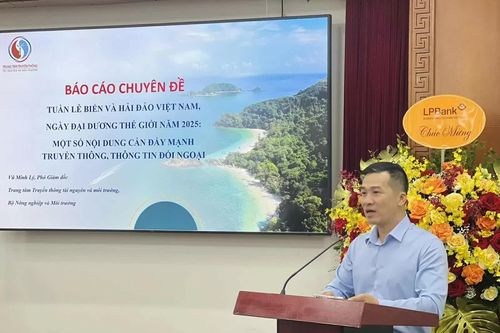 Nhiều hoạt động hưởng ứng Tuần lễ Biển và hải đảo Việt Nam