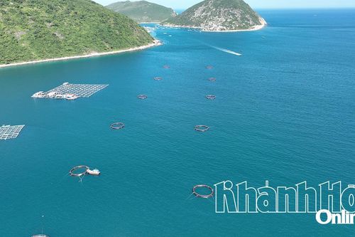 5 hộ nuôi biển công nghệ cao ở Đầm Bấy được cấp giấy phép nuôi trồng thủy sản trên biển