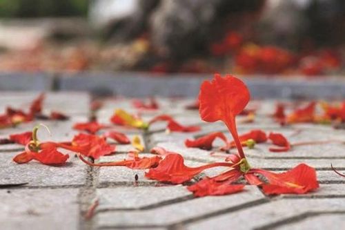 Tháng Năm và những điều còn gửi lại