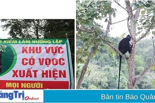 Tăng cường công tác bảo vệ động vật hoang dã, bảo tồn đa dạng sinh học
