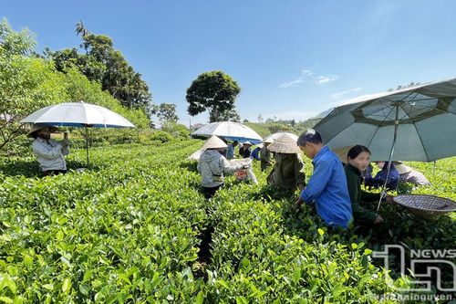 Yên Lãng 'vươn mình' từ nghị quyết