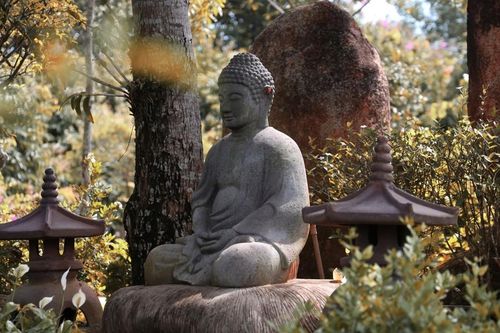 Cảm ơn đời vì được làm con Phật