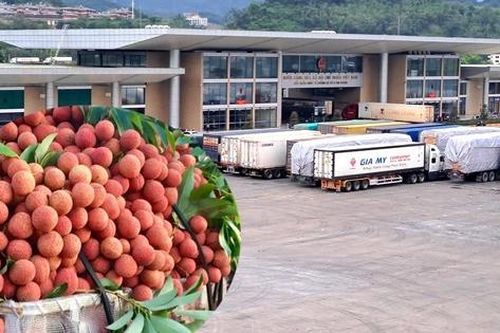 Hành trình 30 phút vượt biên của vải thiều ở cửa khẩu Lào Cai