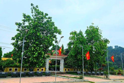 Đổi thay trên quê hương Ngọc Sơn