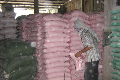 Điều kiện kinh doanh xuất khẩu gạo sẽ chặt chẽ hơn