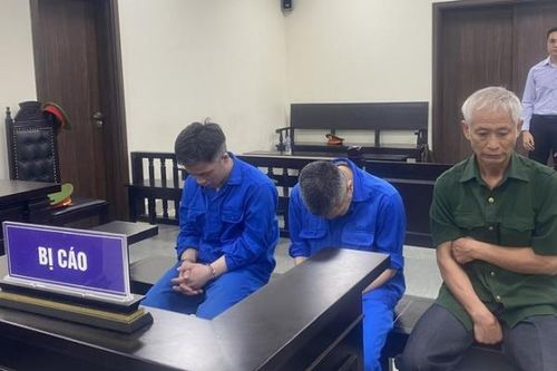 Xét xử nhóm bị cáo lái xe 'hổ vồ' khiến bốn mẹ con tử vong