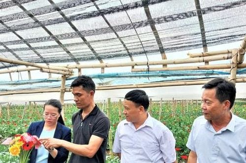 Phát huy vai trò chủ thể của nông dân trong xây dựng Nhà nước pháp quyền