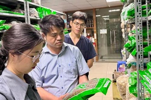 Bộ Y tế lập 15 tổ kiểm tra về dược, mỹ phẩm, y dược cổ truyền, sữa, thực phẩm, thiết bị y tế