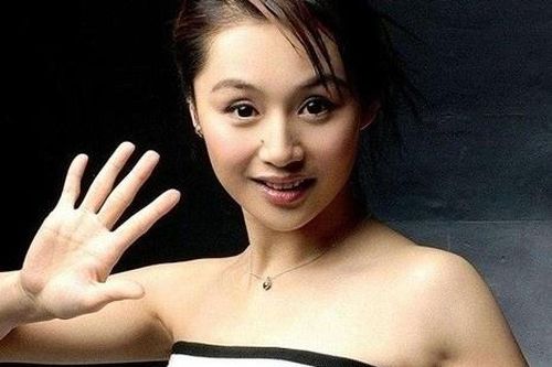 Tào Dĩnh bị ung thư dạ dày
