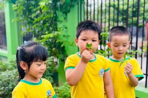 Hà Nội thực hiện nhiều giải pháp tăng quy mô và chất lượng tuyển sinh
