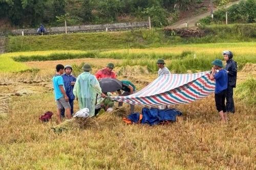 Liên tiếp hai người bị sét đánh tử vong giữa cánh đồng