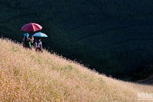 Happy Vietnam: Lan tỏa tinh thần nhân quyền không biên giới và hạnh phúc toàn cầu