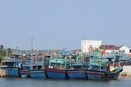 Bình Định xử phạt hai tàu cá vi phạm quy định khai thác thủy sản