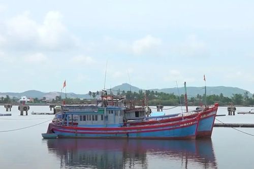 Quảng Nam: Một chủ tàu cá bị phạt 400 triệu đồng