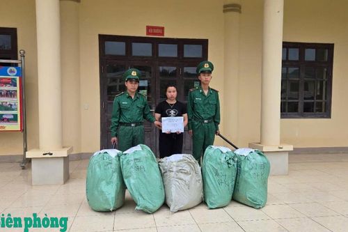 Liên tiếp bắt giữ, xử lý các đối tượng vận chuyển trái phép, kinh doanh hàng hóa nhập lậu qua biên giới