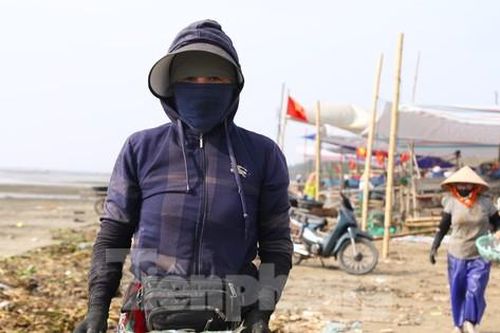 Mỏi tay gỡ cá tươi mỗi sáng, ngư dân Nghệ An thu nhập tiền triệu