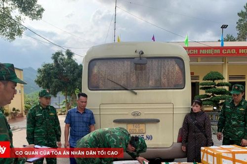 Bắt vụ vận chuyển gần 200kg tôm hùm đất không rõ nguồn gốc