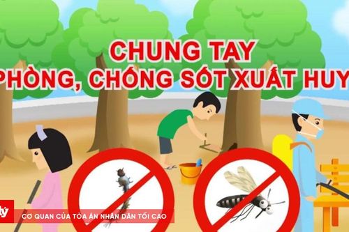 Nguy cơ bùng phát dịch sốt xuất huyết ở Hà Nội là rất cao