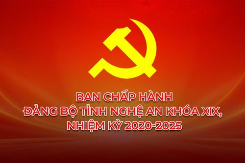 Danh sách Ban Chấp hành Đảng bộ tỉnh Nghệ An khóa XIX, nhiệm kỳ 2020-2025