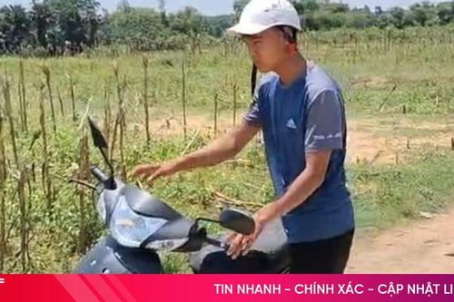 Cạy cốp xe máy trộm tài sản, một thanh niên bị khởi tố
