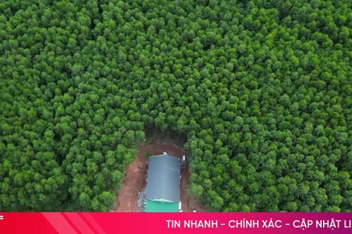 Xây nhà trái phép trên đất rừng