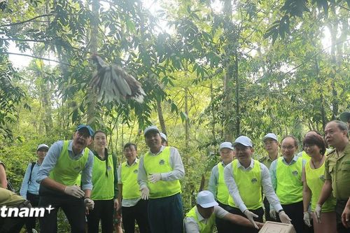 Bảo vệ 'kho báu' đa dạng sinh học: Việt Nam cần kiểm soát chặt các tác động