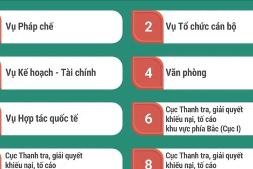 Cơ cấu tổ chức của Thanh tra Chính phủ
