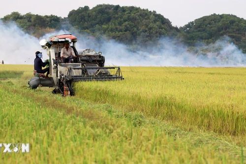 Phát động giải báo chí viết về nông nghiệp, nông dân, nông thôn năm 2025