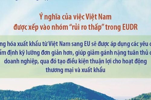 Quy định chống phá rừng của EU: Việt Nam nằm trong nhóm 'rủi ro thấp'