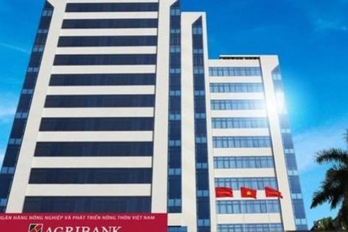 Agribank đang kinh doanh ra sao?