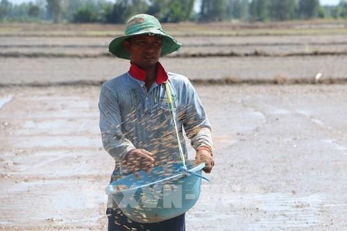 Dự báo nguồn nước sản xuất nông nghiệp vụ Hè Thu khu vực Trung Bộ