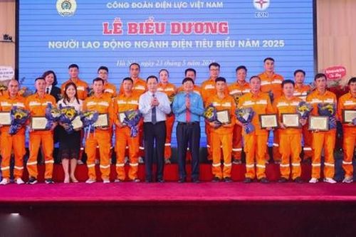 Tôn vinh 117 'bông hoa' tiêu biểu ngành Điện