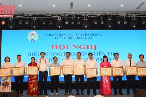 Liên minh HTX Thanh Hóa biểu dương điển hình tiên tiến, giai đoạn 2020-2025