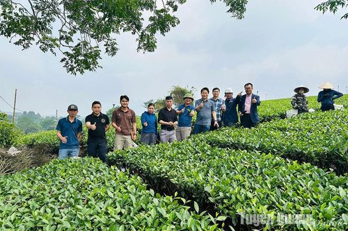 Hợp tác xã 'hai trong một'