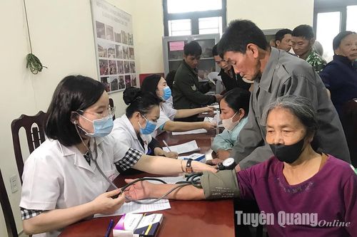 Hiệu quả Đề án sinh kế ở Đông Thọ