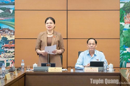 Đoàn ĐBQH tỉnh thảo luận về tình hình kinh tế - xã hội