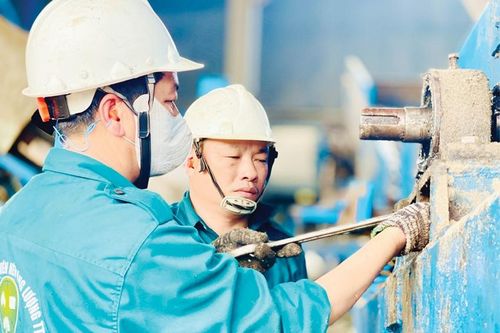 Tăng cường giám sát để bảo vệ môi trường