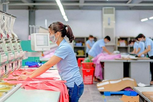 May Sông Hồng (MSH) chuẩn bị chốt quyền chia cổ phiếu thưởng tỷ lệ 50%