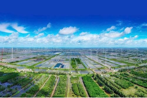 Đòn bẩy từ Nghị quyết 68 cho doanh nghiệp về vấn đề kinh tế môi trường, phát triển bền vững