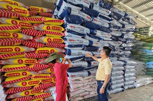 Phú Mỹ cung ứng gần nửa triệu tấn phân bón cho vụ hè thu, mùa mưa