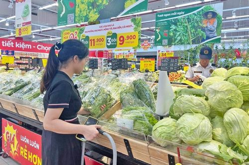Đề xuất áp thuế với sản phẩm nhựa dùng một lần và túi ni lông:Giải pháp cấp thiết để bảo vệ môi trường