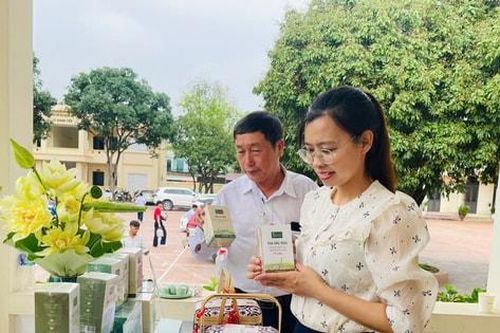 Tìm đầu ra cho nông sản an toàn Sóc Sơn