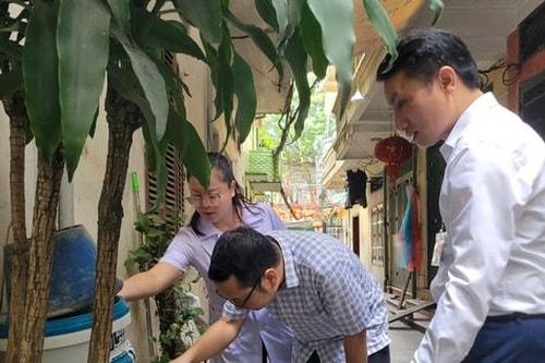 Quận Ba Đình chưa ghi nhận ổ dịch sốt xuất huyết từ đầu năm 2025