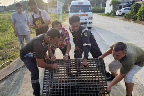 Nghe thấy tiếng kêu dưới cống thoát nước, người dân chạy đến nơi chứng kiến cảnh tượng không ngờ