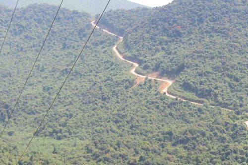 Đi thăm nhà bạn bằng Google maps, nữ sinh đi lạc vào rừng sâu