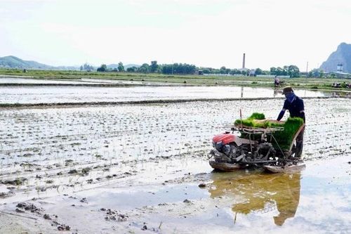 Hạn hán đe dọa sản xuất nông nghiệp tại Trung Bộ