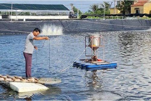 Ứng dụng công nghệ cao trong nuôi trồng thủy sản