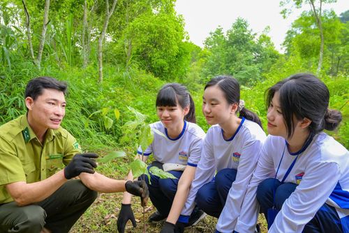 Những giờ học sống động của học sinh chuyên Sinh tại Vườn quốc gia Cúc Phương