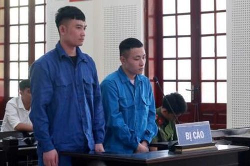 Dùng sổ đỏ giả lừa bán đất 'vịt giời'