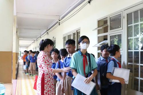 TP Thủ Đức: Kỳ thi khảo sát năng lực học sinh tuyển sinh vào lớp 6 diễn ra khá nhẹ nhàng